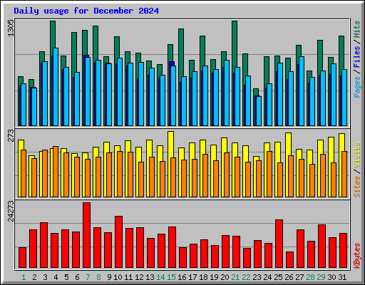 Daily usage for December 2024
