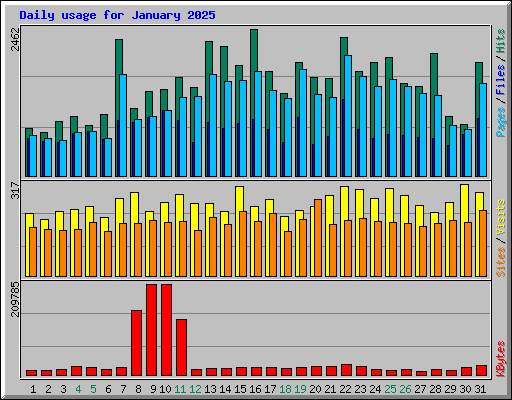 Daily usage for January 2025