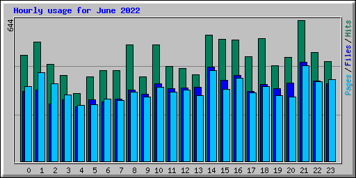 Hourly usage for June 2022