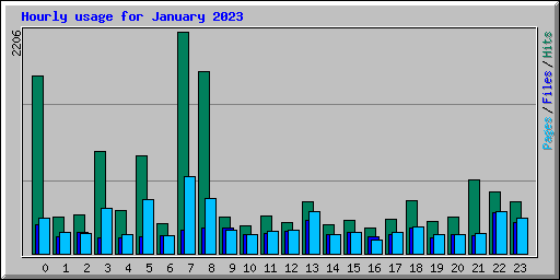 Hourly usage for January 2023
