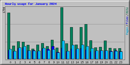 Hourly usage for January 2024