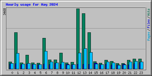 Hourly usage for May 2024