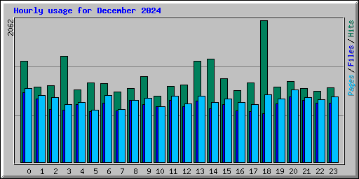 Hourly usage for December 2024