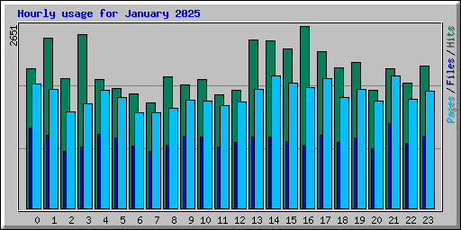 Hourly usage for January 2025