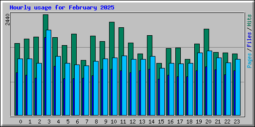 Hourly usage for February 2025