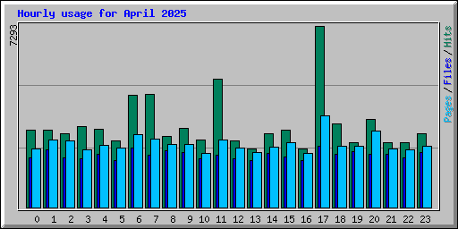 Hourly usage for April 2025