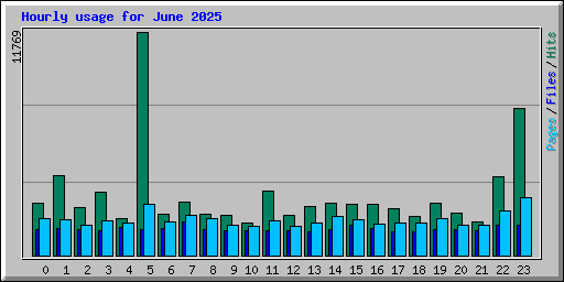 Hourly usage for June 2025