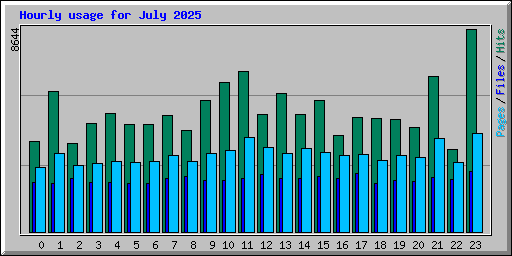 Hourly usage for July 2025