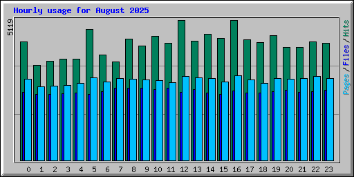 Hourly usage for August 2025