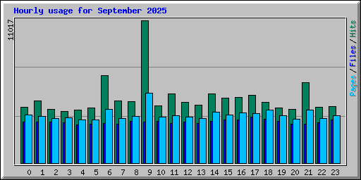 Hourly usage for September 2025