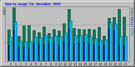 Hourly usage for December 2025