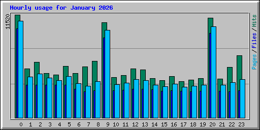 Hourly usage for January 2026