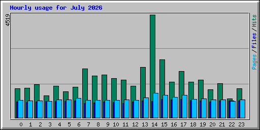 Hourly usage for July 2026