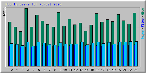 Hourly usage for August 2026